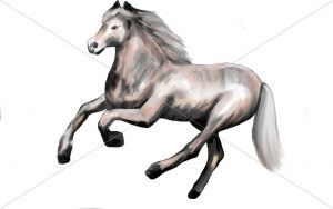 obrázek kůň